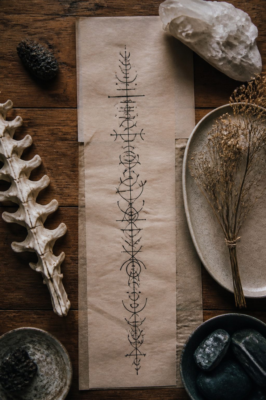 Still life objects representing spine tattoos.