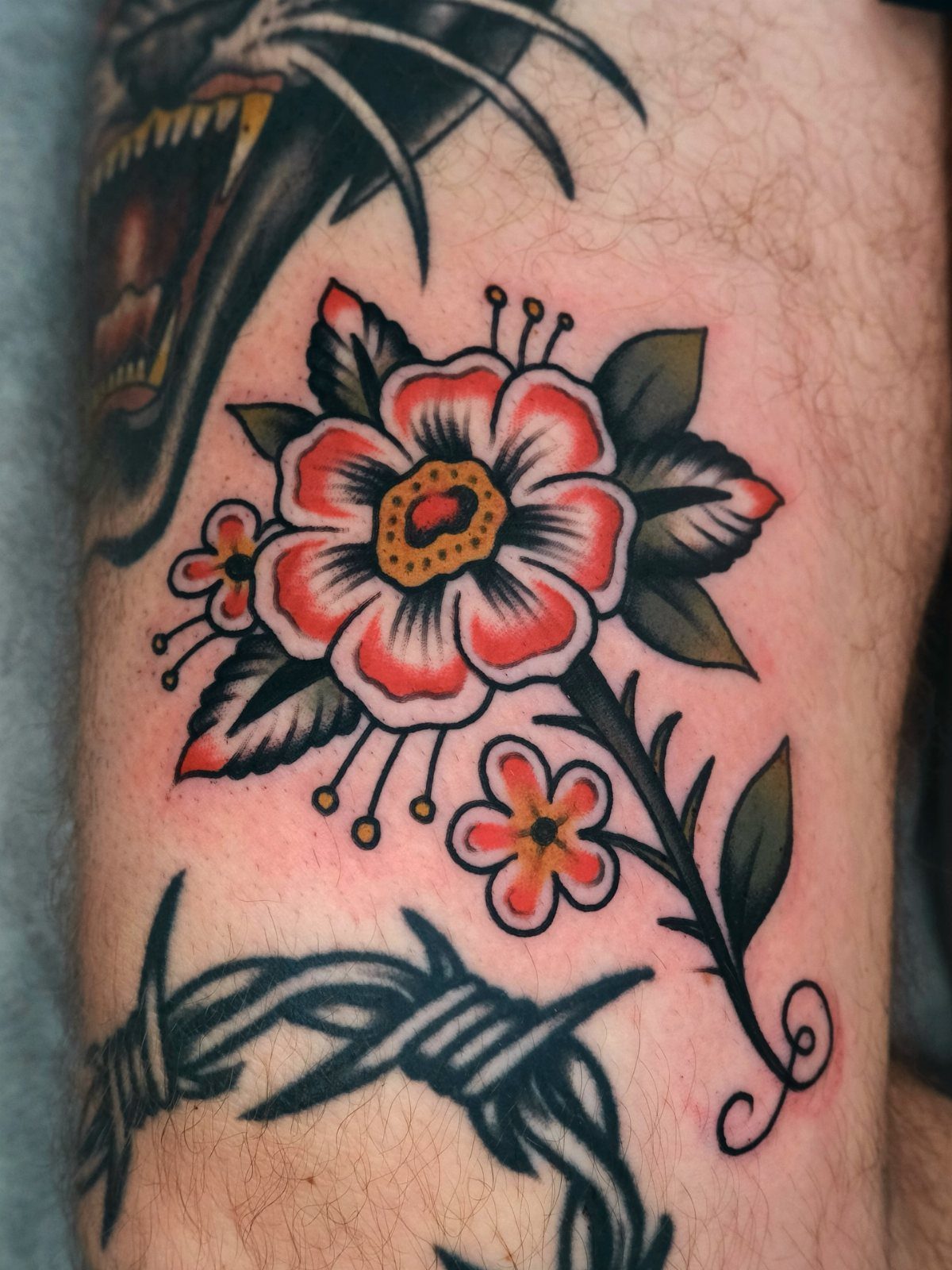 17 Flower Tattoo Ideas That Work in Every Style 15 Traditional red and white flower tattoo with bold black outlines on a person's leg.